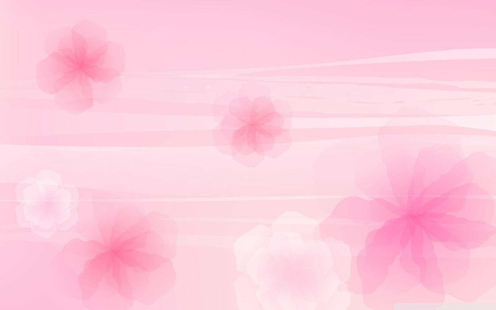 Background màu hồng phấn