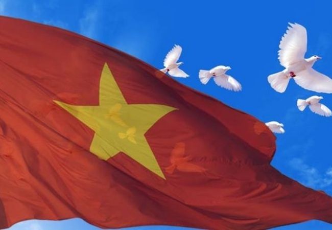 Background cờ Việt Nam với chim bồ câu