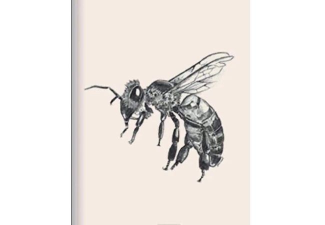 Dowload hình ảnh 4d con ong