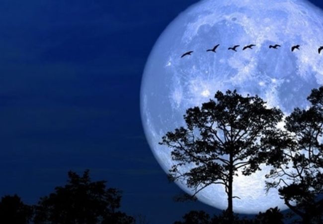 Hình ảnh ban đêm bầu trời trăng sao yên ả
