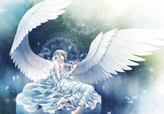 Hình ảnh thiên thần Anime có cánh
