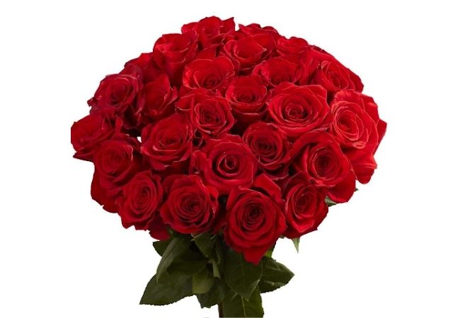 Hình ảnh ba bông hồng đỏ đẹp