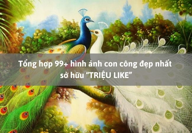 10 loài chim đẹp nhất thế giới Top Việt Nam Top Thế Giới