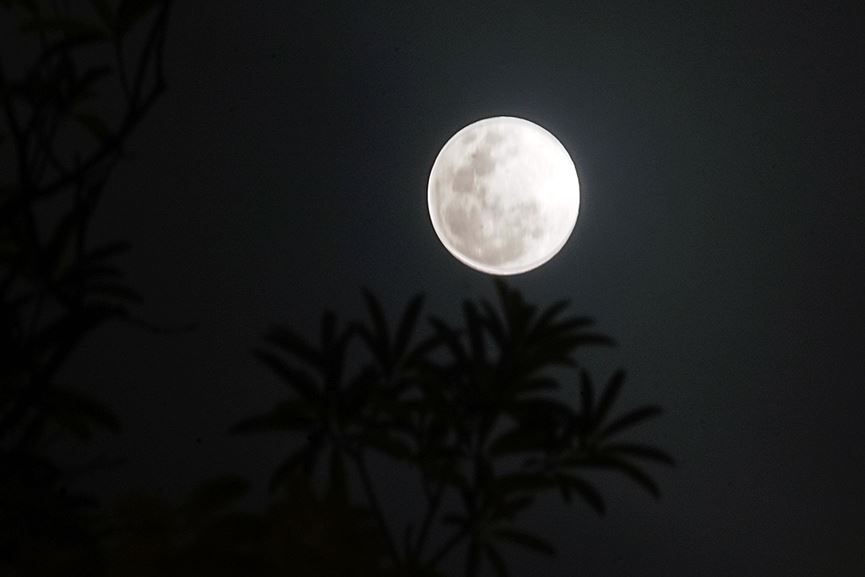 Hình ảnh đêm trăng đẹp