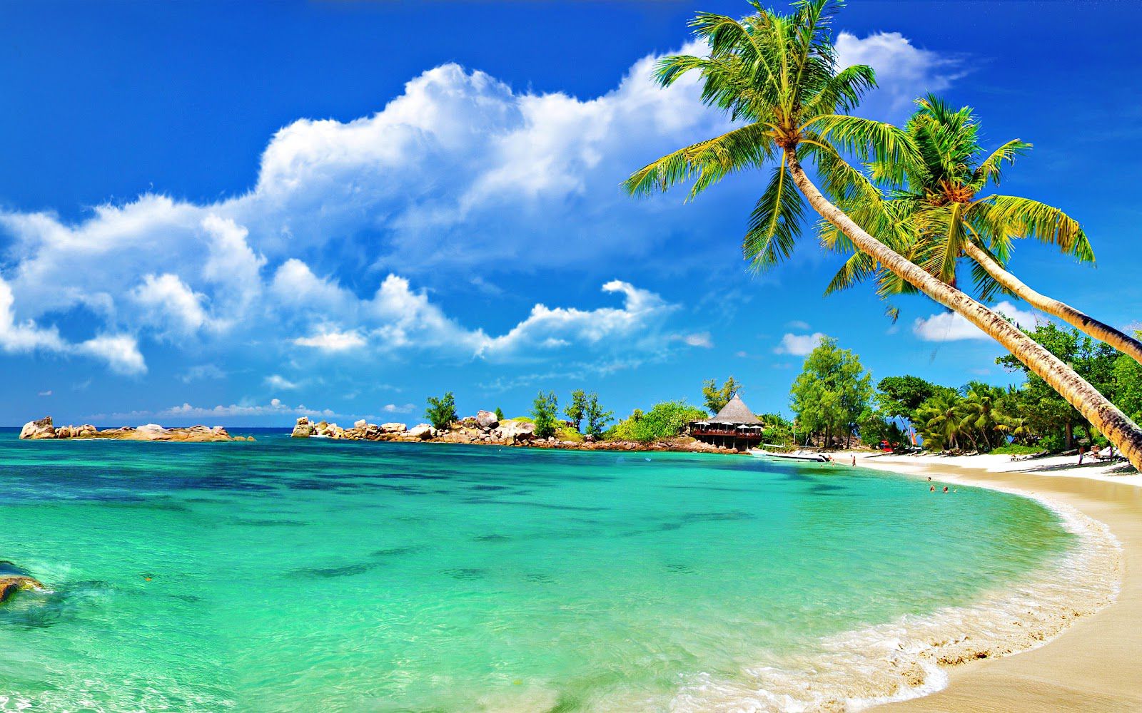 Hình nền cho Laptop bãi biển trong xanh cực đẹp