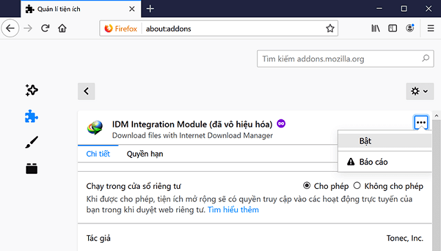 Bật IDM trên Chrome thành công
