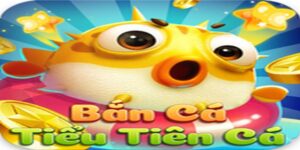 tiểu tiên cá