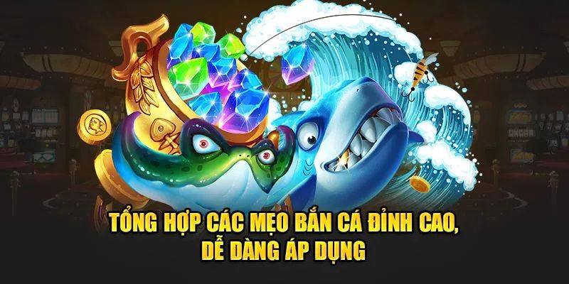 Kinh Nghiệm Chơi Bắn Cá B52 Giúp Thành Viên Thắng Lớn Săn các loại cá có điểm khủng