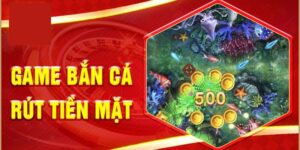 Rút Tiền Bắn Cá - Hướng Dẫn Chi Tiết Cho Thành Viên Mới 