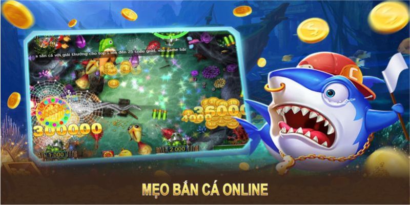 Kinh Nghiệm Chơi Bắn Cá B52 Giúp Thành Viên Thắng Lớn Kinh nghiệm chơi bắn cá b52 thắng lớn