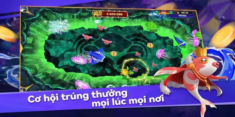 Bắn ở những khu vực có nhiều cá