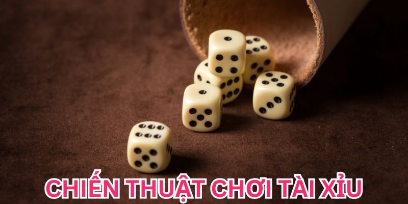 Chiến Thuật Chơi Tài Xỉu Bách Chiến Bách Thắng Cho Tân Binh Chiến thuật chơi Tài xỉu giúp bạn thắng đậm & trúng lớn