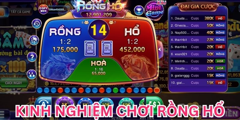 Bật Mí Kinh Nghiệm Chơi Rồng Hổ Hiệu Quả, Áp Dụng Dễ Kinh nghiệm chơi Rồng Hổ