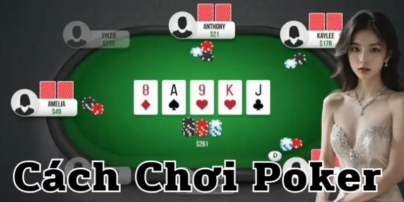 Horse - đỉnh cao trong các loại poker phổ biến
