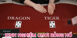 Bật Mí Kinh Nghiệm Chơi Rồng Hổ Hiệu Quả, Áp Dụng Dễ
