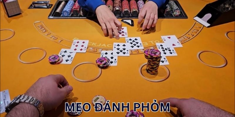 Mẹo Đánh Phỏm – Bật Mí Bí Kíp Trở Thành Cao Thủ Tá Lả Mẹo đánh phỏm từ cao thủ hàng đầu