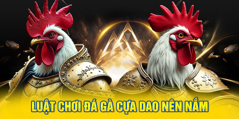 Cách chọn chiến kê có lợi thế trong đá gà cựa dao