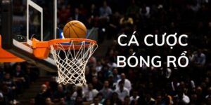 Tổng Hợp Các Kèo Cá Cược Bóng Rổ Online Tại Nhà Cái Vintechcity.com