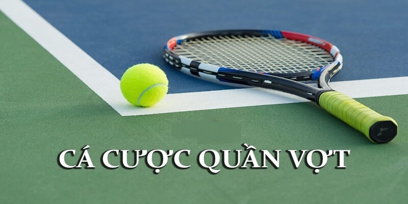 Bật Mí Các Kèo Cá Cược Tennis Hấp Dẫn Tại Vintechcity.com Các kèo cá cược tennis hấp dẫn tại nhà cái Vintechcity.com