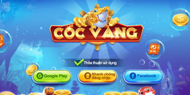 Giới thiệu đôi nét về cóc vàng bắn cá