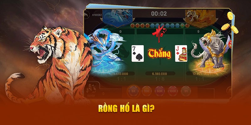 Tiết lộ kinh nghiệm chơi bài Rồng Hổ Vintechcity.com dễ thắng nhất