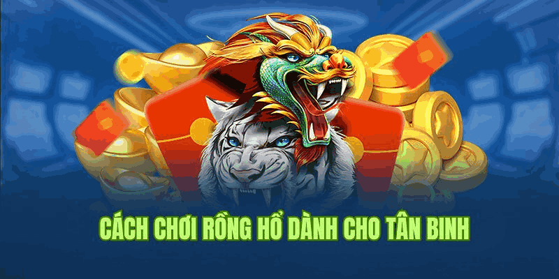 Luật chơi bài Rồng Hổ Vintechcity.com siêu dễ cho tân binh