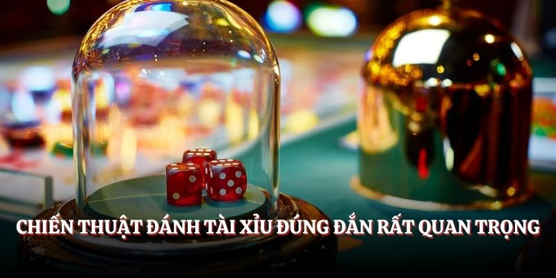 Chiến Thuật Đánh Tài Xỉu - Cách Cược Đỉnh Cao Cho Tân Thủ Chiến thuật đánh Tài Xỉu đúng đắn rất quan trọng