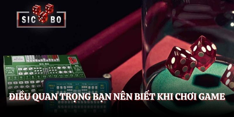 Điều quan trọng bạn nên biết khi chơi game