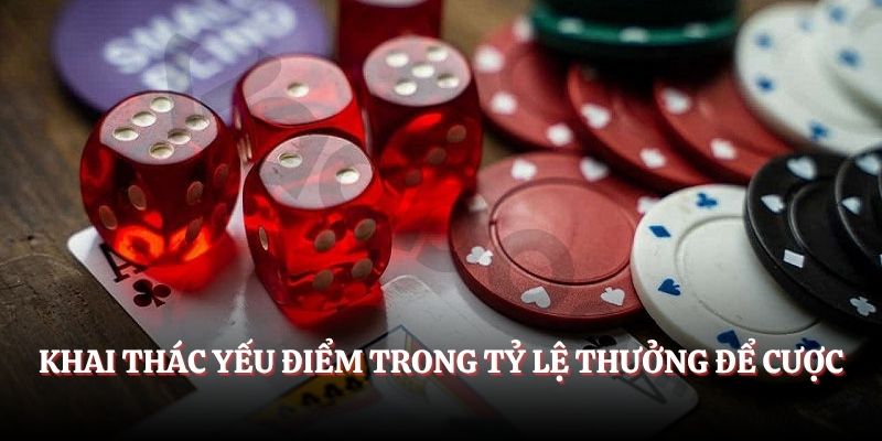 Lỗ Hổng Game Tài Xỉu 2025 - Nắm Bắt Để Tăng Cơ Hội Thắng Khai thác yếu điểm trong tỷ lệ thưởng để cược