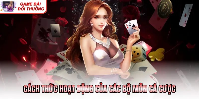 Luật Chơi Casino Cơ Bản - Những Kiến Thức Cần Nắm Rõ Cách thức hoạt động của các bộ môn cá cược
